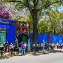 MEX CDMX Coyoacan 2019MAR29 FridaKahlo 028 : - DATE, - PLACES, - TRIPS, 10's, 2019, 2019 - Taco's & Toucan's, Americas, Central, Coyoacán, Day, Frida Kahlo Museum, Friday, March, Mexico, Mexico City, Month, North America, Year